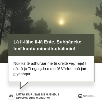 Lutjet e Jetës
