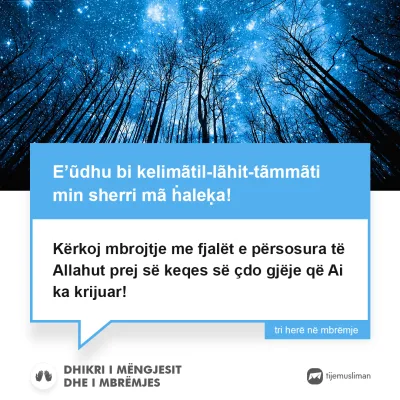 Lutjet e Jetës