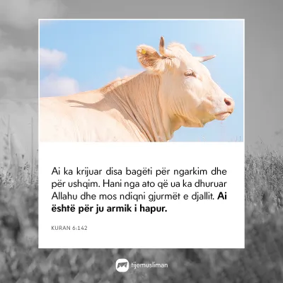 Porosi Hyjnore