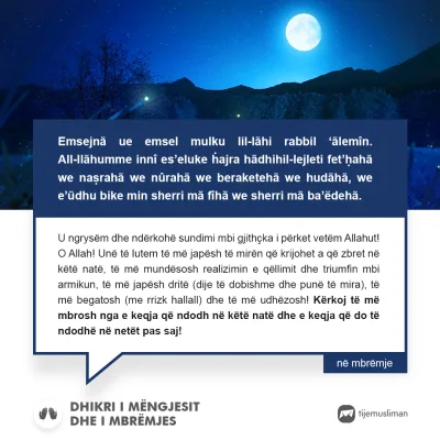 Lutjet e Jetës