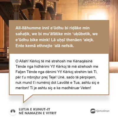 Lutjet e Jetës