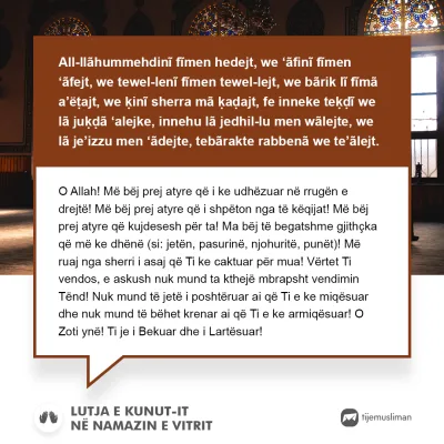 Lutjet e Jetës