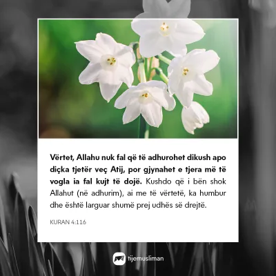 Porosi Hyjnore