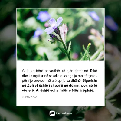 Porosi Hyjnore
