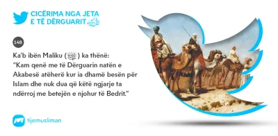Cicërima profetike