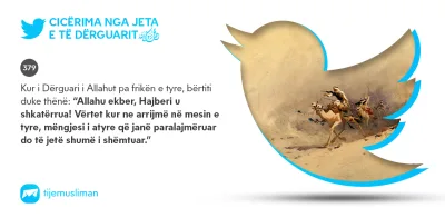 Cicërima profetike