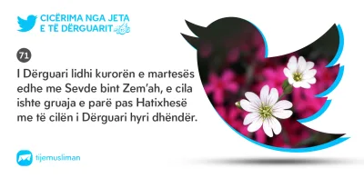 Cicërima profetike