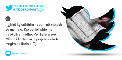 Cicërima profetike