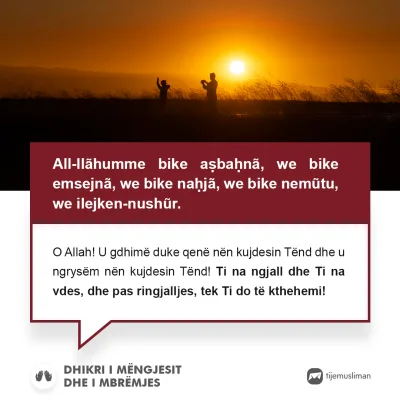 Lutjet e Jetës