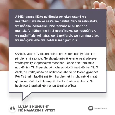Lutjet e Jetës
