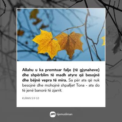 Porosi Hyjnore