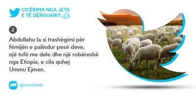 Cicërima profetike