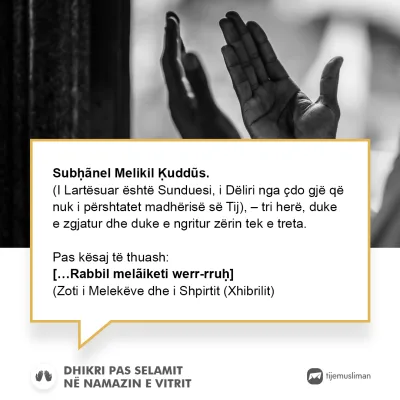 Lutjet e Jetës