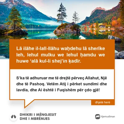 Lutjet e Jetës