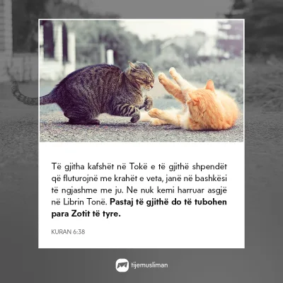 Porosi Hyjnore