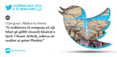 Cicërima profetike