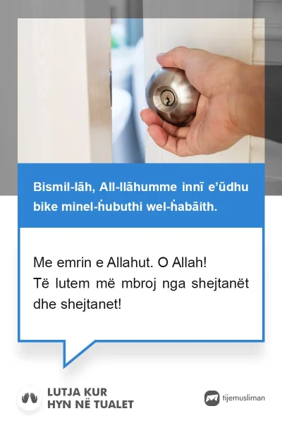 Lutjet e Jetës