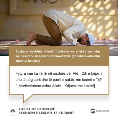 Lutjet e Jetës