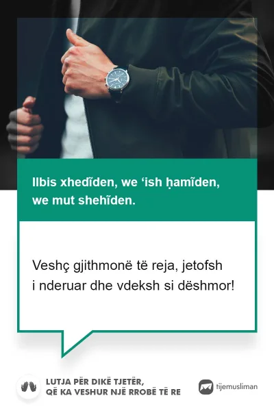 Lutjet e Jetës