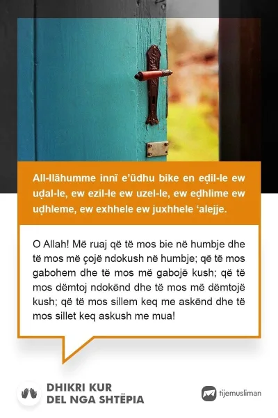 Lutjet e Jetës
