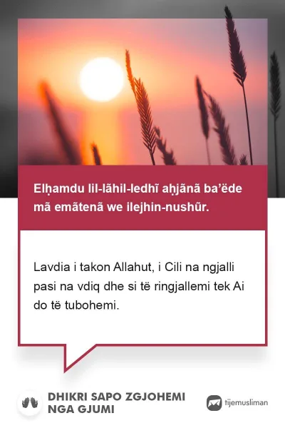 Lutjet e Jetës
