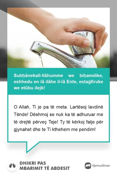 Lutjet e Jetës