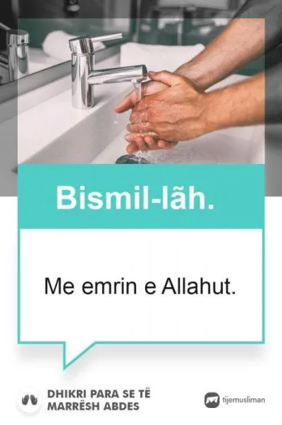 Lutjet e Jetës