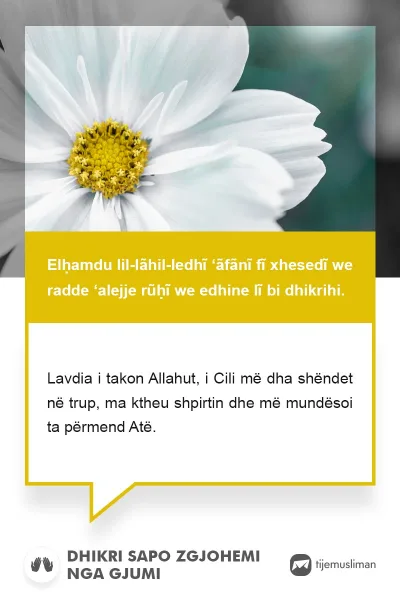 Lutjet e Jetës