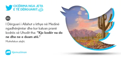 Cicërima profetike