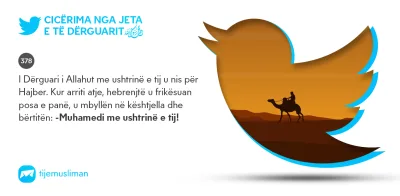 Cicërima profetike